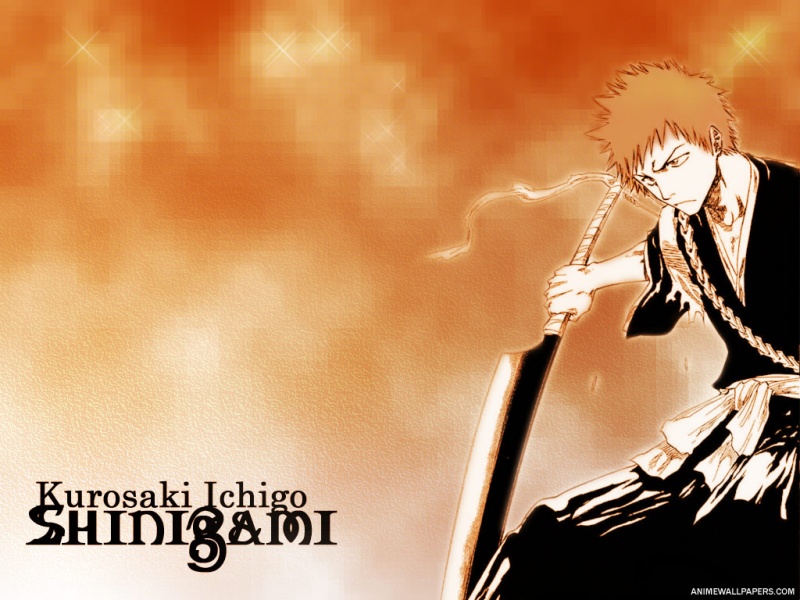 Otaku Gallery  / Anime e Manga / Bleach / Wallpapers / 106.jpg